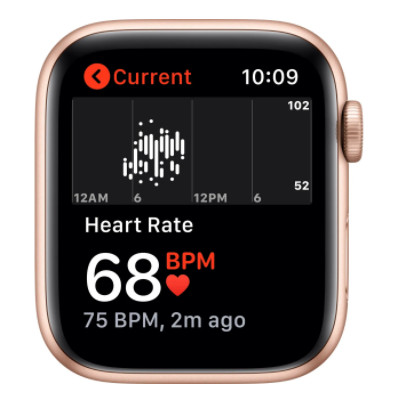apple watch se 44mm colors